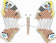 схема бабочки Павлиний глаз
