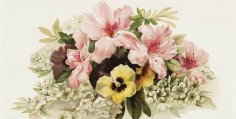 Painting Paintings