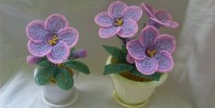 Ambient Flowers