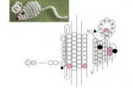 поделки из бисера для начинающих своими руками