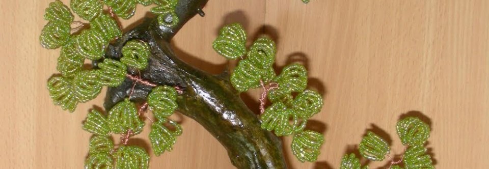 Biser Colours Master Class