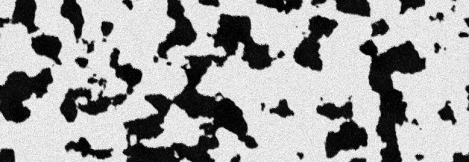 Discharge Prints Download