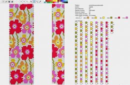Beaser Braces With Diagrams