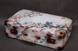 Seizure Of Suitcase
