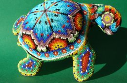 Processes From A Biser For Newcomers